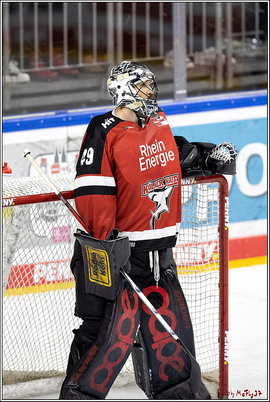 PENNY DEL;  Koelner Haie - Bietigheim Steelers; Koeln, 19.11.2021